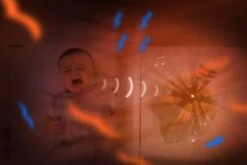 ZAZU - Sunset Projector - Shally Green -Trixie Verkäufe 0794712495468 1