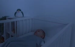 ZAZU - Sunset Projector - Shally Green -Trixie Verkäufe 0794712495468