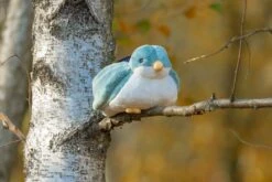 ZAZU - Sunset Projector - Shally Green -Trixie Verkäufe 0794712495468 4