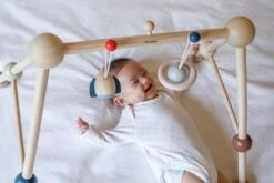 Plan Toys PlanToys Holzspielzeug Spiel-Turnhalle-Orchard -Trixie Verkäufe 5270 2