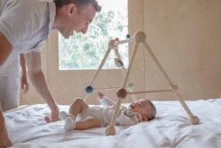 Plan Toys PlanToys Holzspielzeug Spiel-Turnhalle-Orchard -Trixie Verkäufe 5270 3