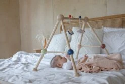 Plan Toys PlanToys Holzspielzeug Spiel-Turnhalle-Orchard -Trixie Verkäufe 5270 4