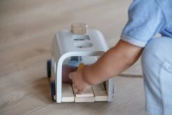 Plan Toys PlanToys Holzspielzeug Bus-Orchard Sortieren -Trixie Verkäufe 5401 2