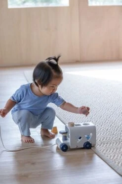 Plan Toys PlanToys Holzspielzeug Bus-Orchard Sortieren -Trixie Verkäufe 5401 3