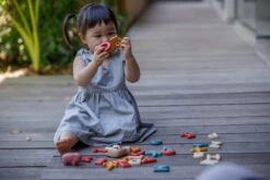 Plan Toys PlanToys Holzspielzeug Großbuchstaben Alphabet 14 Plan Toys PlanToys Holzspielzeug Großbuchstaben Alphabet -Trixie Verkäufe 5406 3