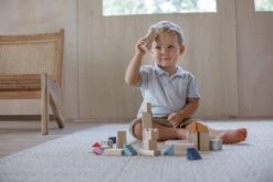 Plan Toys PlanToys Holzspielzeug Kreativ-Blöcke-Orchard 11 Plan Toys PlanToys Holzspielzeug Kreativ-Blöcke-Orchard -Trixie Verkäufe 5542 1