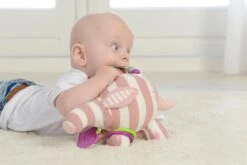 Dolce Primo Aktivitätsspielzeug Ameise Bär Alice - 18 Cm -Trixie Verkäufe 8718591951442 1