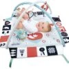 Clementoni Eerste Maanden - Baby Gym