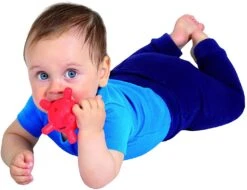 Edushape Gummy Beißring - 1 Stück -Trixie Verkäufe edushape gummy beissring 1 stueck 3