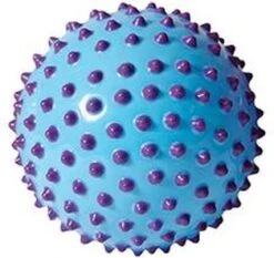 Edushape Senso-Dot Ball
