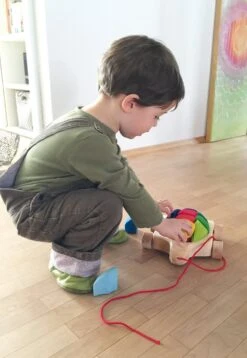 Grimm's - Regenbogen Schildkröte 5 Grimm's - Regenbogen Schildkröte -Trixie Verkäufe grimm apos s regenbogen schildkroete 3