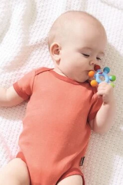 HABA Greifling Farbenrad 5 HABA Greifling Farbenrad -Trixie Verkäufe haba greifling farbenrad 3