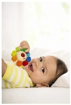 Haba Greifling Farbkreisel -Trixie Verkäufe haba greifling farbkreisel 3