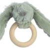 Happy Horse Grünes Kaninchen Richie Beißring Aus Holz - 12 Cm 3 Happy Horse Grünes Kaninchen Richie Beißring Aus Holz - 12 Cm -Trixie Verkäufe happy horse gruenes kaninchen richie beissring aus holz 12 cm