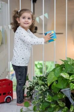 Edushape Wassermagie - Würfel -Trixie Verkäufe img 3