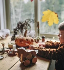 Kinderfeets Bamboo Ziehtier Einhorn 6 Kinderfeets Bamboo Ziehtier Einhorn -Trixie Verkäufe kinderfeets bamboo ziehtier einhorn 2