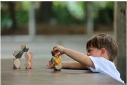 Plan Toys PlanToys Holzspielzeug Geo Stacking Felsen 8 Plan Toys PlanToys Holzspielzeug Geo Stacking Felsen -Trixie Verkäufe plantoys holzspielzeug geo stacking felsen 2