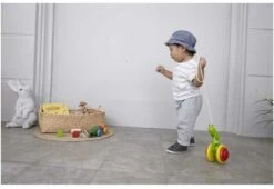 Plan Toys PlanToys Holzspielzeug Nachziehbare Schnecke -Trixie Verkäufe plantoys holzspielzeug nachziehbare schnecke 3