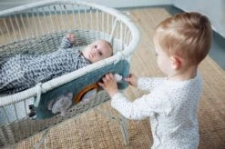 Snoozebaby Activity Patch -Trixie Verkäufe snoozebaby activity patch 2