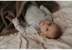 Snoozebaby Decke Kinderbett T.O.G. 2.0 Warm Brown - 100x150cm 5 Snoozebaby Decke Kinderbett T.O.G. 2.0 Warm Brown - 100x150cm -Trixie Verkäufe snoozebaby decke kinderbett tog 20 warm brown 100x150cm 3