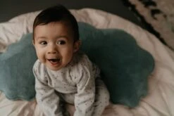 Snoozebaby Fütterungskissen Smokey Green - 75 X 20 X 15 Cm -Trixie Verkäufe snoozebaby organic feeding pillow smokey green with detachable cover