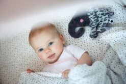 Snoozebaby Soft Toy / Cuddle Toy Elly Elephant Frost Grey -Trixie Verkäufe snoozebaby speenknuffel elly elephant frost grey 1