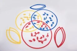 TickiT SORTIERUNGSRINGE SET -Trixie Verkäufe tickit sortierungsringe set 3