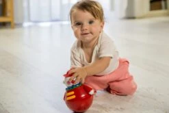 Tolo Stehaufmännchen Clown, Roly Poly, Beweglich, Ab 6 Monaten, Ca. 15 X 16 X 11 Cm -Trixie Verkäufe tolo classic tuimelaar roly poly clown met geluid