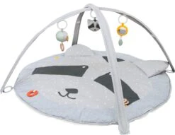 Trixie Erlebnisdecke Mit Spielbogen - Mr. Raccoon