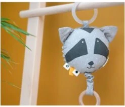 Trixie Musikspielzeug - Mr. Raccoon -Trixie Verkäufe trixie musikspielzeug mr raccoon 3